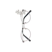 Carregar imagem no visualizador da galeria, Salamandras