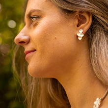 Carregar imagem no visualizador da galeria, Colmeias S