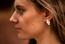 Carregar imagem no visualizador da galeria, Colmeias S