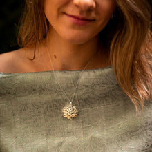 Carregar imagem no visualizador da galeria, Treliças M