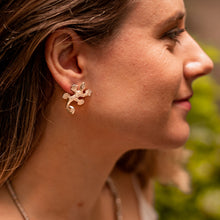 Carregar imagem no visualizador da galeria, Salamandras