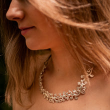 Carregar imagem no visualizador da galeria, Salamandras