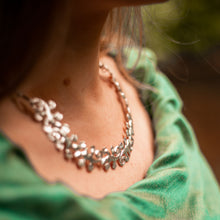 Carregar imagem no visualizador da galeria, Salamandras